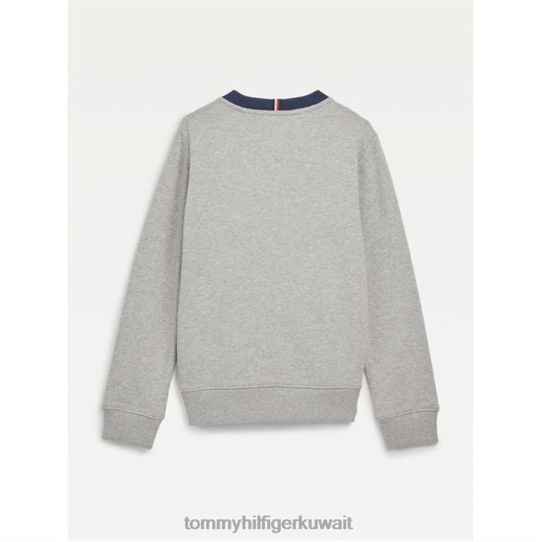 الرمادي ص01 Tommy Hilfiger سترة تومي الأساسية برقبة دائرية للأولاد الصغار 4464420496
