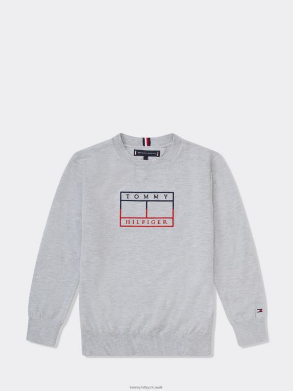 هيذر رمادي فاتح Tommy Hilfiger الأولاد 3-7 البلوز التطريز العلم 44644255