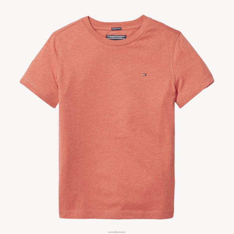 هيذر التفاح الأحمر Tommy Hilfiger تي شيرت للأولاد من عمر 3 إلى 7 سنوات بأكمام قصيرة متماسكة بشكل طاقم أساسي 44644322