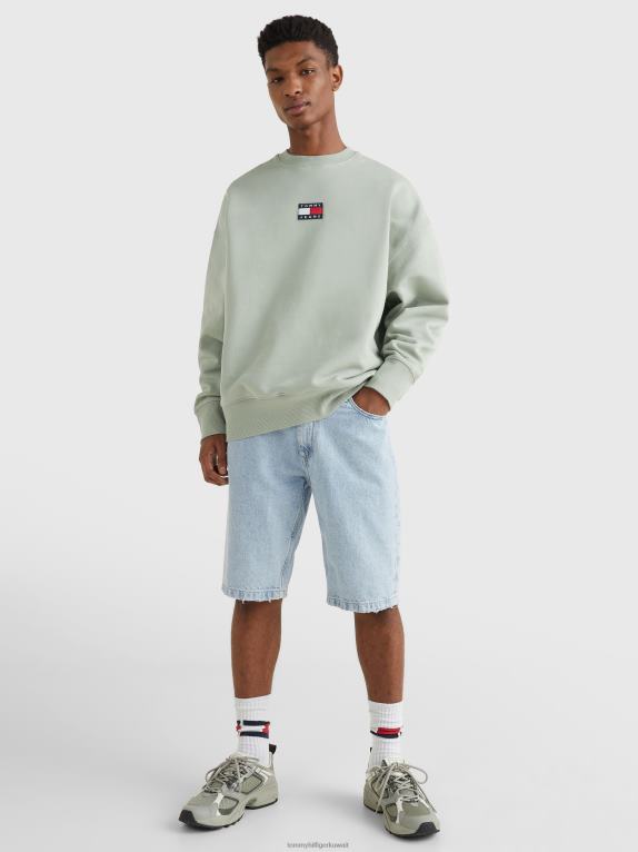 الصفصاف الباهت Tommy Hilfiger شارة الصوف البلوز 446441327