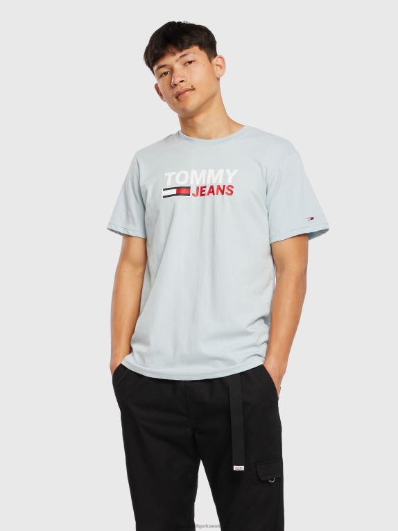 الواحة الزرقاء Tommy Hilfiger تي شيرت شعار الشركة 446441581