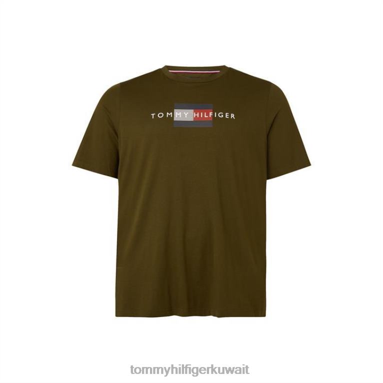 خشب الزيتون جيي Tommy Hilfiger تي شيرت رجالي 4464419828