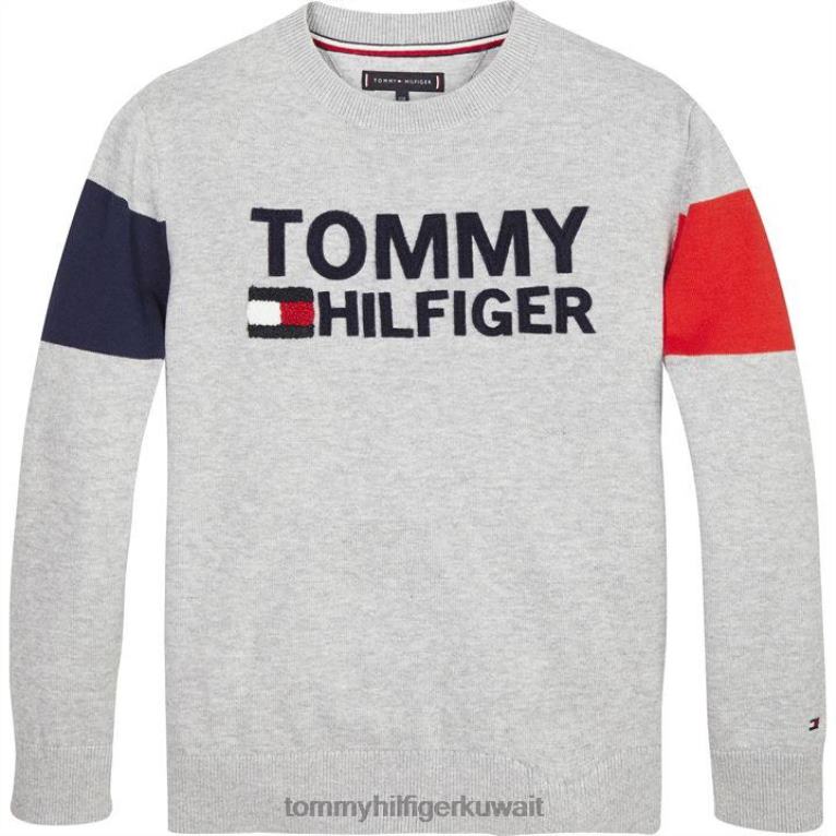 رمادي فاتح Tommy Hilfiger سترة ملونة 4464420707