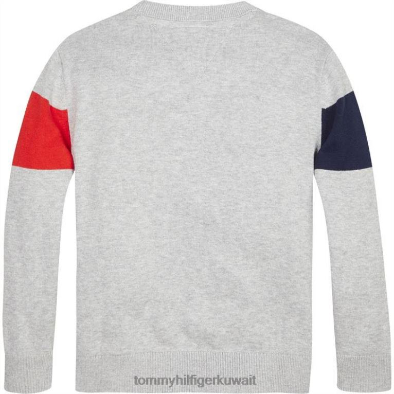 رمادي فاتح Tommy Hilfiger سترة ملونة 4464420707