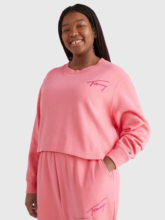 وردة الحديقة Tommy Hilfiger سترة صوفية بتوقيع منحنى 446442181