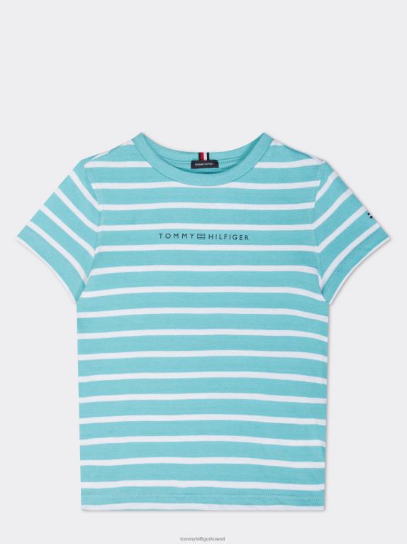 قمة Tommy Hilfiger تي شيرت مخطط أساسي 44644268