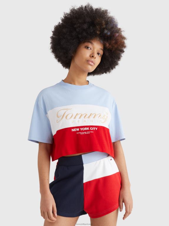 شامبراي سكاي/متعدد Tommy Hilfiger أرشيف تي شيرت قصير كبير الحجم 446442811