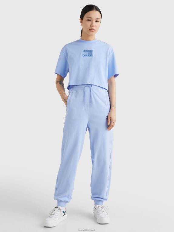 الأزرق المعتدل Tommy Hilfiger تي شيرت برسومات الشعار 446442813