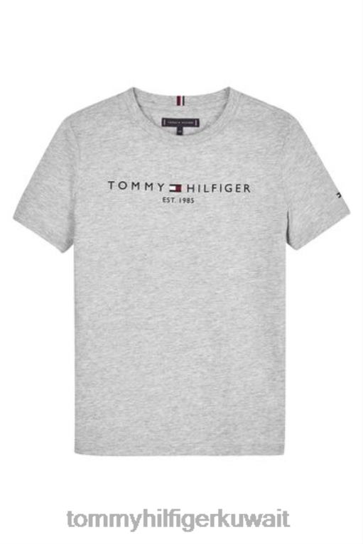 رمادي Tommy Hilfiger تي شيرت أساسي 446442924