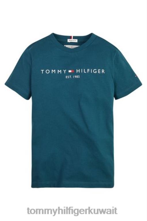 أزرق Tommy Hilfiger تي شيرت أساسي 446443029