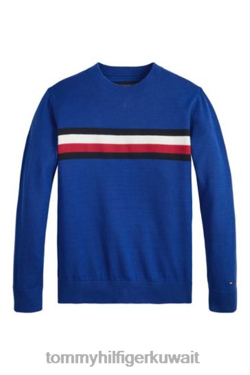 أزرق Tommy Hilfiger البلوز الشريط العالمي 446443033