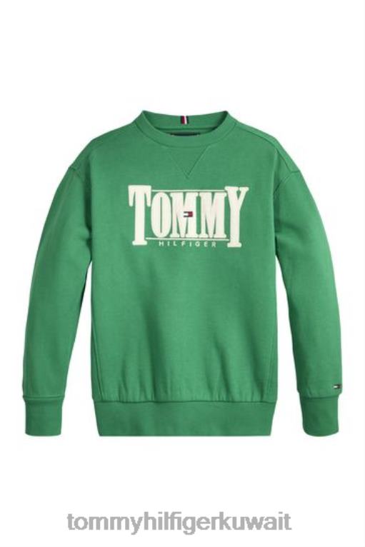 أخضر Tommy Hilfiger سترة أبليك الحبل 446443065