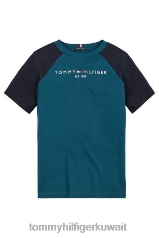 أزرق Tommy Hilfiger تي شيرت كتلة الألوان الأساسية 446443089