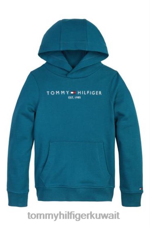 أزرق Tommy Hilfiger هوديي الأساسية 446443101