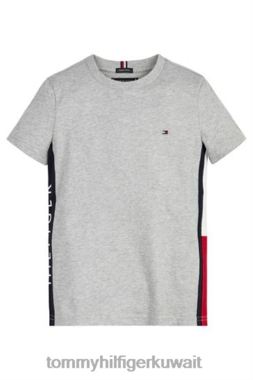 رمادي Tommy Hilfiger تي شيرت العلم 446443127