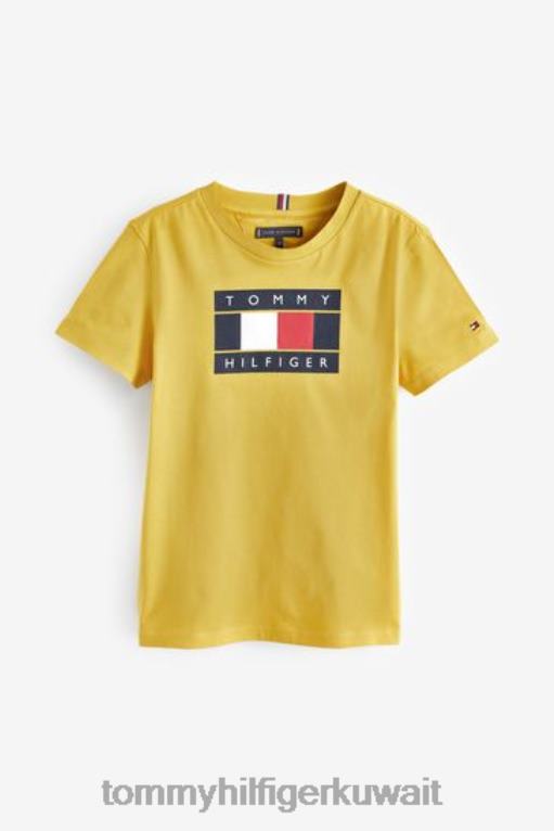 أصفر Tommy Hilfiger تي شيرت مخطط بعلم عالمي 446443173