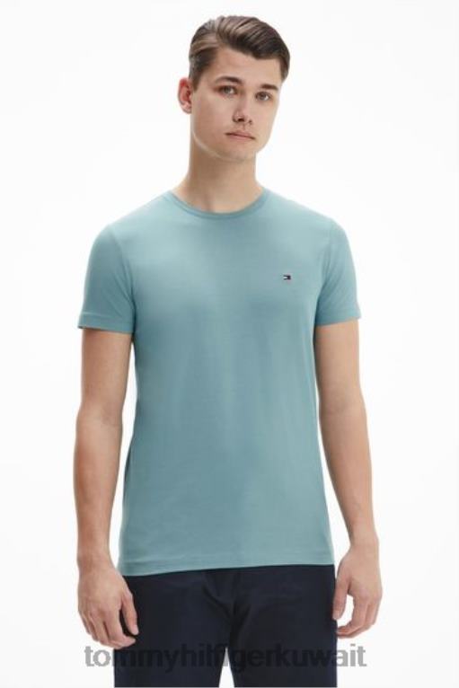 أزرق Tommy Hilfiger تمتد صالح سليم تي شيرت 446443179