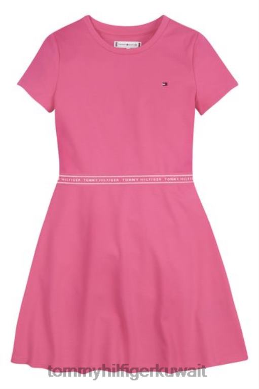 لون القرنفل Tommy Hilfiger فستان بونتو متزلج 446443218