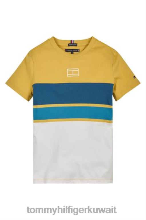 أصفر Tommy Hilfiger تي شيرت مخطط الرجبي 446443251