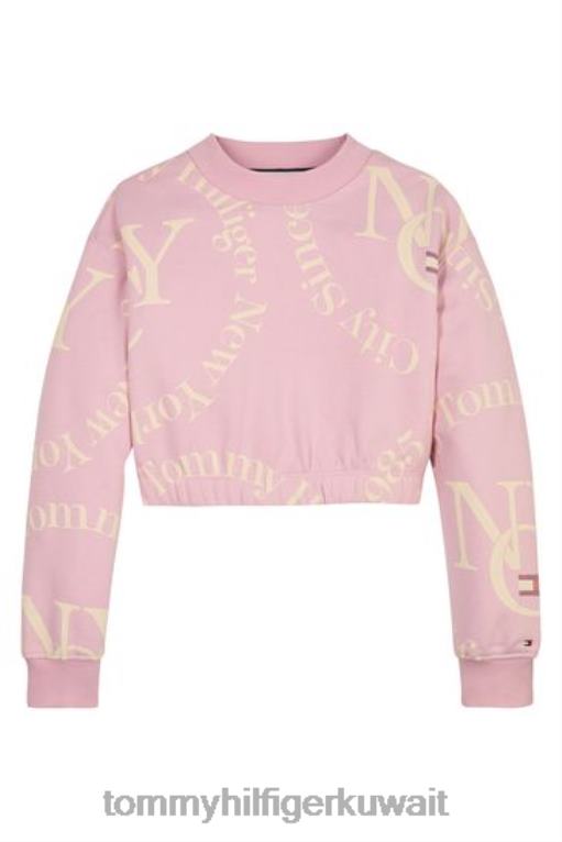 لون القرنفل Tommy Hilfiger اقتصاص البلوز الخالد 446443300