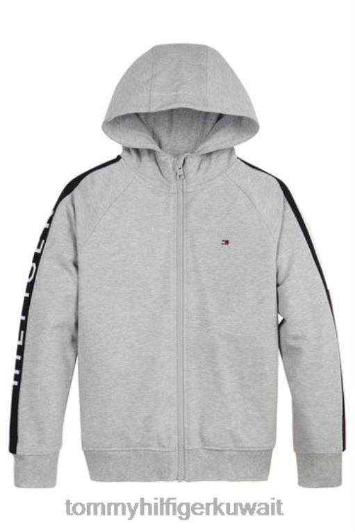 رمادي Tommy Hilfiger العلم البريدي من خلال البلوز 446443318