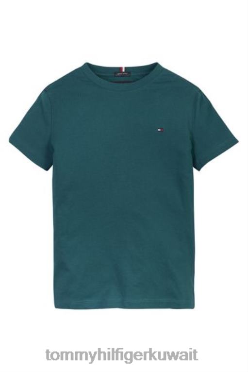 أزرق Tommy Hilfiger تي شيرت من القطن الأساسي 446443326