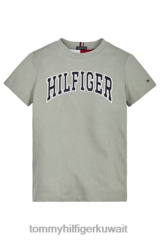 أخضر Tommy Hilfiger تي شيرت فاريستي 446443329