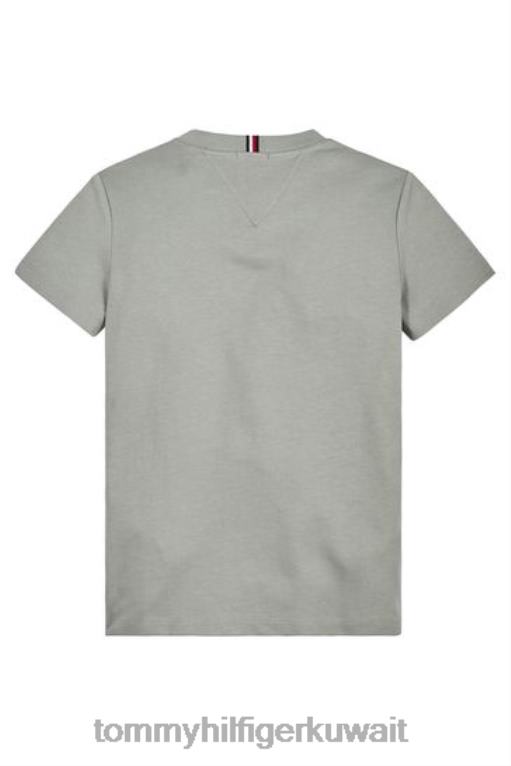 أخضر Tommy Hilfiger تي شيرت فاريستي 446443329