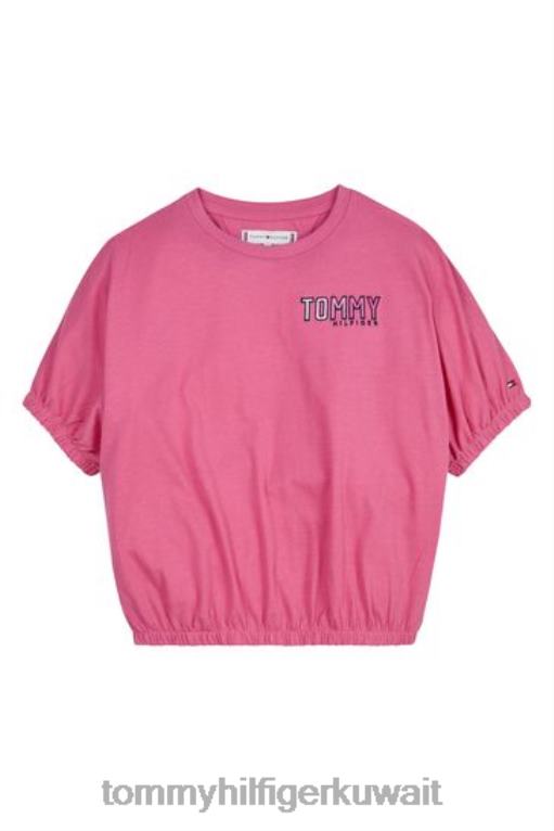 لون القرنفل Tommy Hilfiger تي شيرت مطرز 446443354