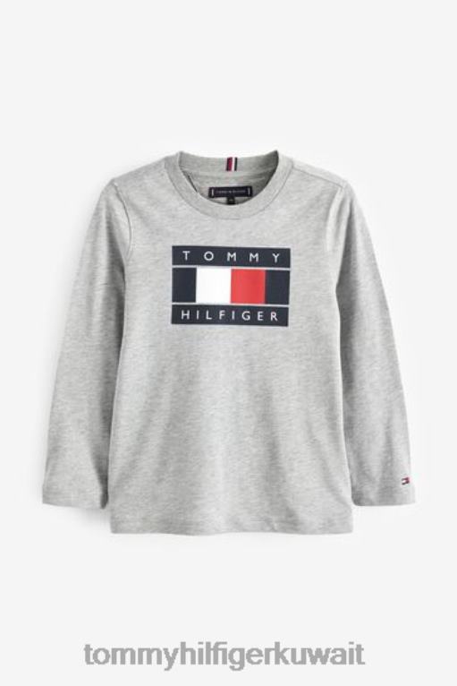 رمادي Tommy Hilfiger تي شيرت مخطط عالمي بأكمام طويلة 446443432