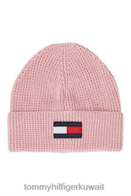لون القرنفل Tommy Hilfiger قبعة العلم الكبيرة 446443483