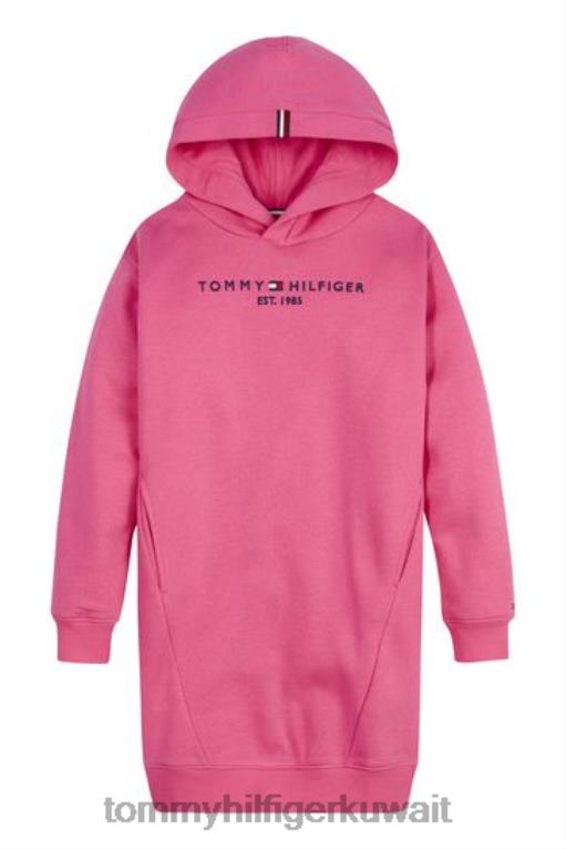 لون القرنفل Tommy Hilfiger فستان عرق هوديي أساسي 446443491