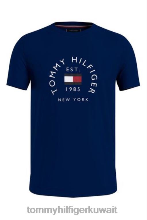 أزرق Tommy Hilfiger تي شيرت أرشيف العلم 446443492