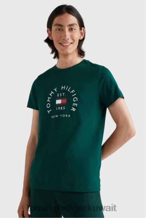 أخضر Tommy Hilfiger تي شيرت أرشيف العلم 446443552