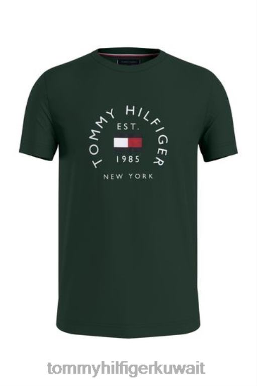 أخضر Tommy Hilfiger تي شيرت أرشيف العلم 446443552