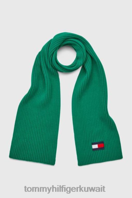 أخضر Tommy Hilfiger وشاح العلم الكبير في 446443621