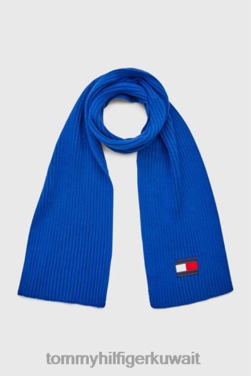 أزرق Tommy Hilfiger وشاح العلم الكبير في 446443693