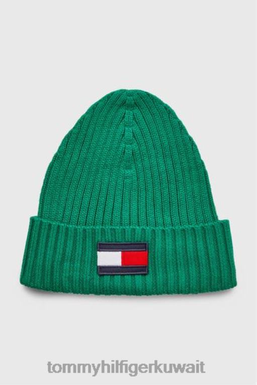 أخضر Tommy Hilfiger قبعة العلم الكبيرة 446443710