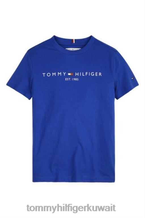أزرق Tommy Hilfiger تي شيرت أساسي في 446443719