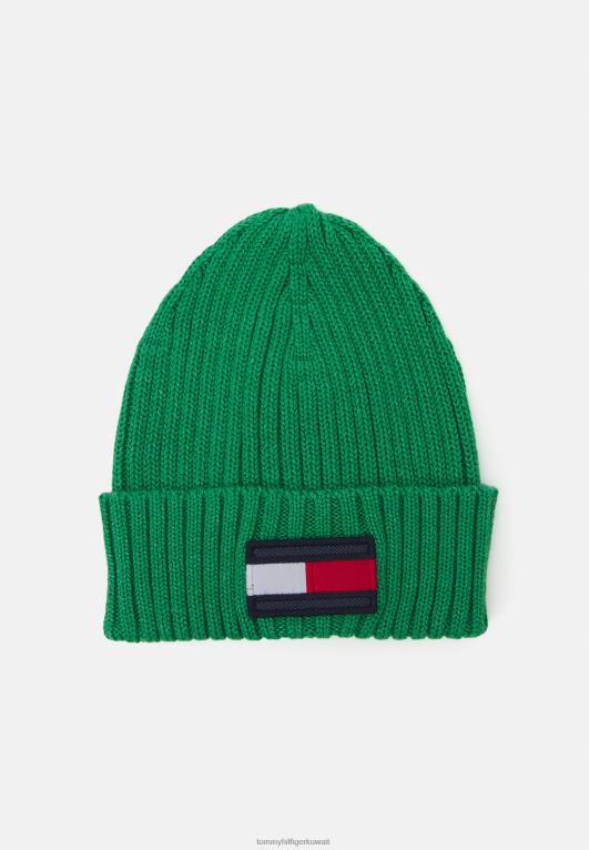 الملكيت الأخضر Tommy Hilfiger قبعة صغيرة ذات علم للجنسين 446443869
