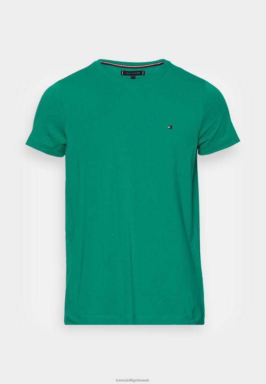 الملعب الأخضر Tommy Hilfiger تي شيرت أساسي 446444155