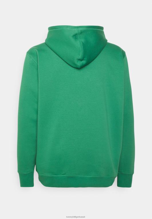 ألاسكا الخضراء Tommy Hilfiger سويت شيرت بغطاء رأس برسومات دائرية 446444328