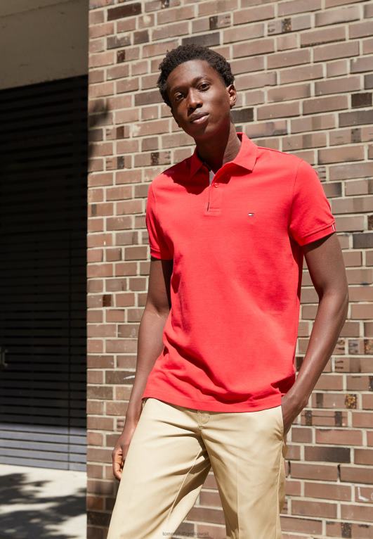 الأحمر الأساسي Tommy Hilfiger بلاكيت قميص بولو عادي 446444535