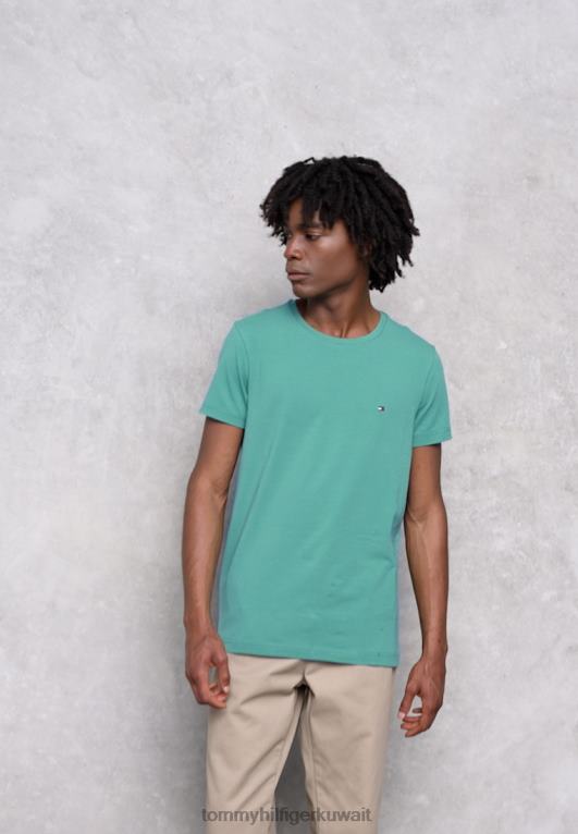 الأخضر المركزي Tommy Hilfiger تي شيرت أساسي 446444592