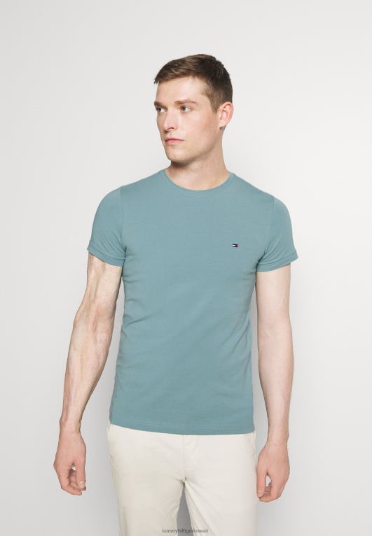 الأزرق النبيل Tommy Hilfiger تي شيرت أساسي 446444603