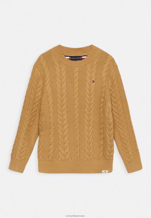 الكاكي الكلاسيكي Tommy Hilfiger وصلة كابل أساسية 446445011