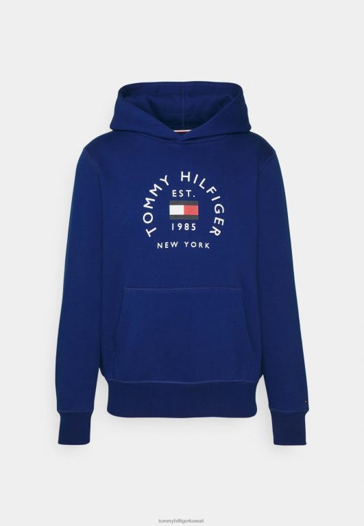 الأزرق الجريء Tommy Hilfiger البلوز هودي قوس العلم 446445033