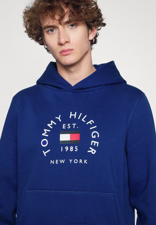 الأزرق الجريء Tommy Hilfiger البلوز هودي قوس العلم 446445033