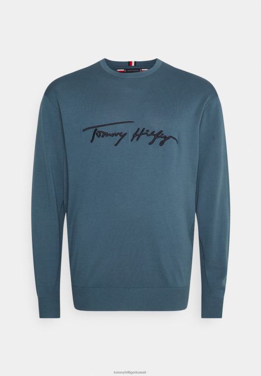 الفحم الأزرق Tommy Hilfiger البلوز الرسم التوقيع 446445128