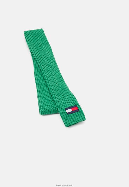 الملكيت الأخضر Tommy Hilfiger وشاح العلم الكبير وشاح للجنسين 446445141